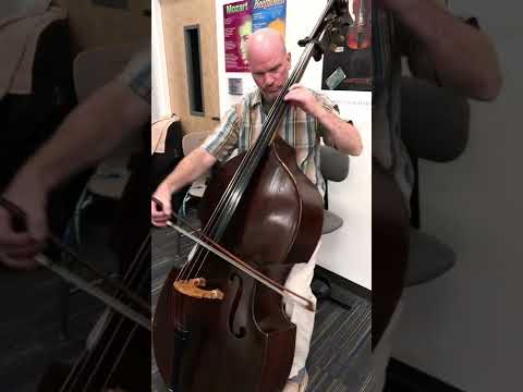 Vanhal Concerto for Bass 1st mvt (Expo & Dev)