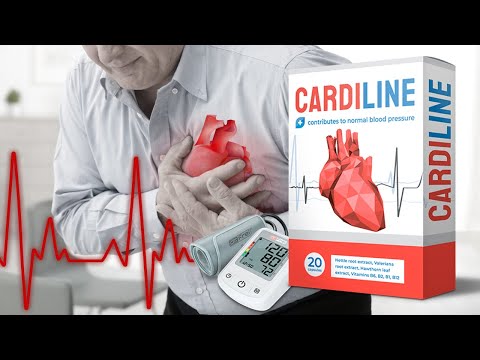 kardió a szív egészségének testépítéséhez