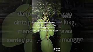 Download lagu Yammmi mangane seger 😵‍💫🥴 #fpy #storybagus #satuyangtakbisalepas #storywagalau #storywa mp3