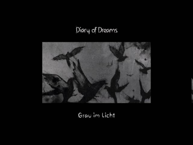 Diary of Dreams: la evolución del sonido oscuro
