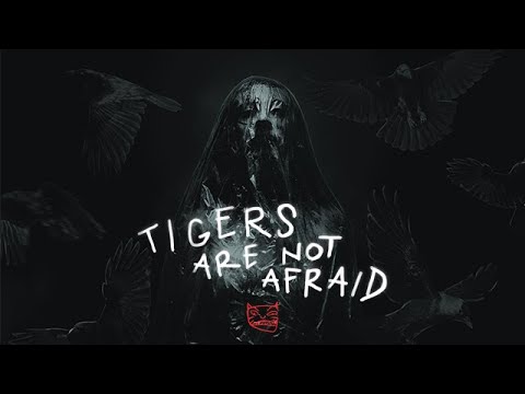 Tigers are not Afraid (Trailer 2022)