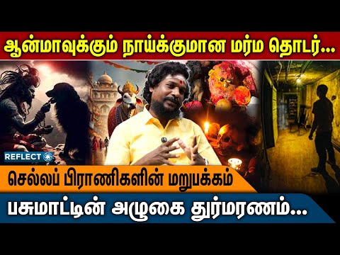 செல்லப்பிராணிகளை வளர்ப்பதில் ஆபத்தா ? | NN Chandrakumar | Manthrigam | Seivinai