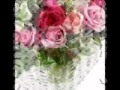 Diana Navarro - 24 Rosas 