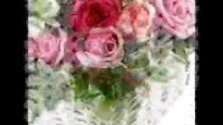 Diana Navarro - 24 Rosas