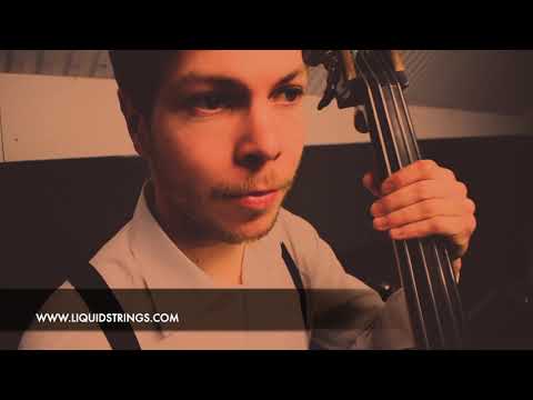 London Roaming Band - Live Acoustic Music