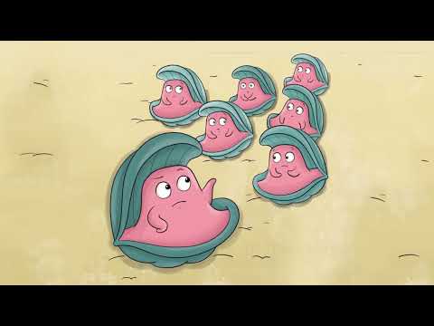 Unit 1 bl- cl- fl- | Story [Sounds Great 2nd 3/4 | Phonics Sense 4]