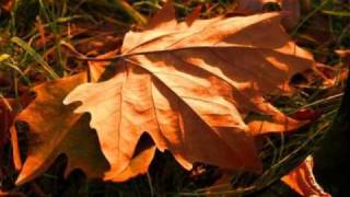 Godsend - A wayfarer's tears Part 2