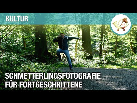 Schmetterlingsfotografie für Fortgeschrittene (Postillon Kultur)