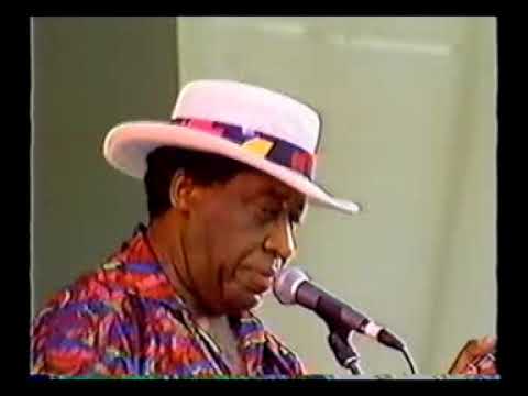 Long John Hunter - Chicago Blues Festival (1996) Part 1