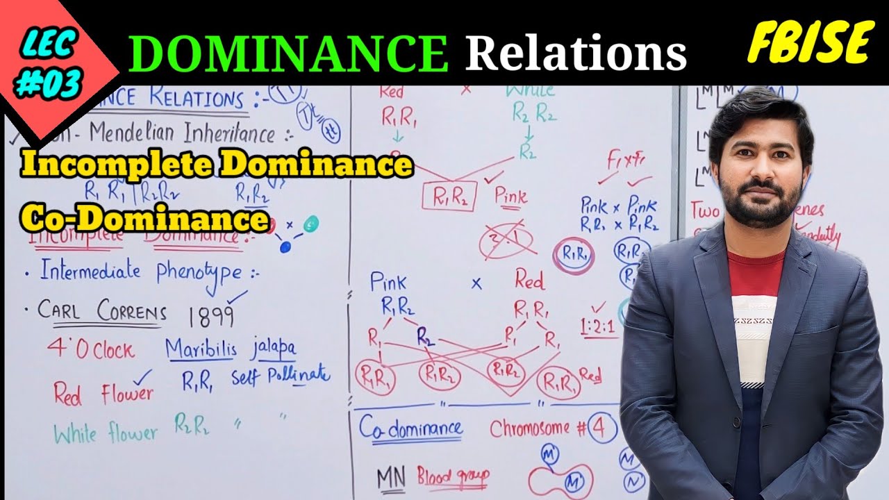 Dominance relationship | Incomplete dominance and Codominance | class 12 biology