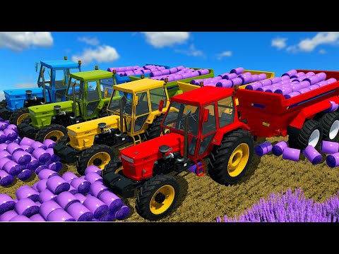 LOAD AND TRANSPORT MINI LAVENDER BALES WITH FIAT TRACTORS - Farming Simulator 22