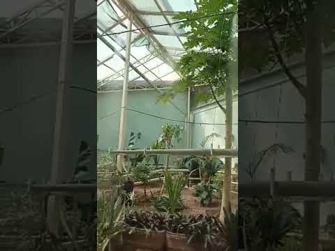 Монтаж систем туманообразования микроклимат в Ташкенте.  974444420.  951442044