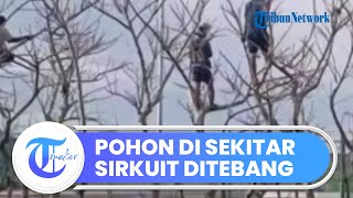 Digunakan Warga untuk Menonton Balapan secara Ilegal, Pohon di Sekitar Sirkuit Mandalika Ditebang