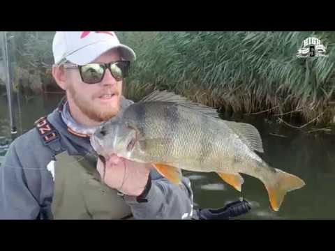 High 5 Lures: Drop 9 product overview - HFE 2018