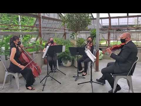 Columbus Musicians Llc Ensembles Soloists The Knot