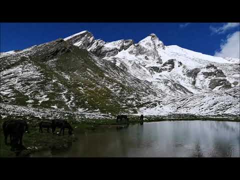 CAVALLI E ASINELLI AL LAGO IN VALLE VARAITA (CN) COLLE DELL' AGNELLO - MART. 16 - 7 - 2019