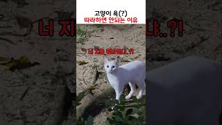 [잡담]오전에 산책겸 운동갔다왔는데 이거 통하더라