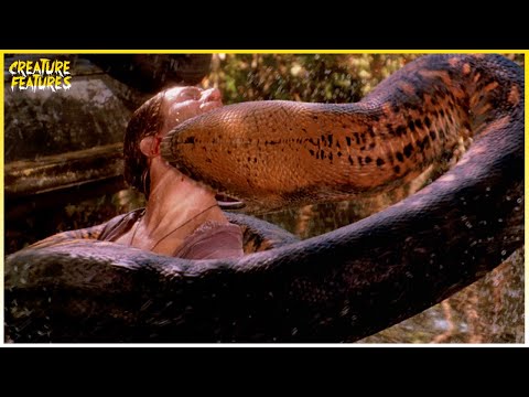 Mighty Anaconda Kills The Skipper