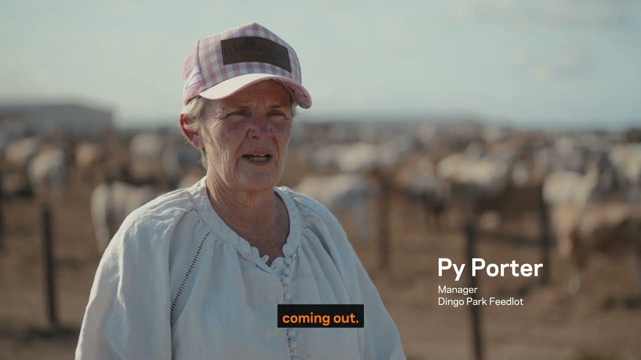 Gallagher Dingo Park - SM1 16:9