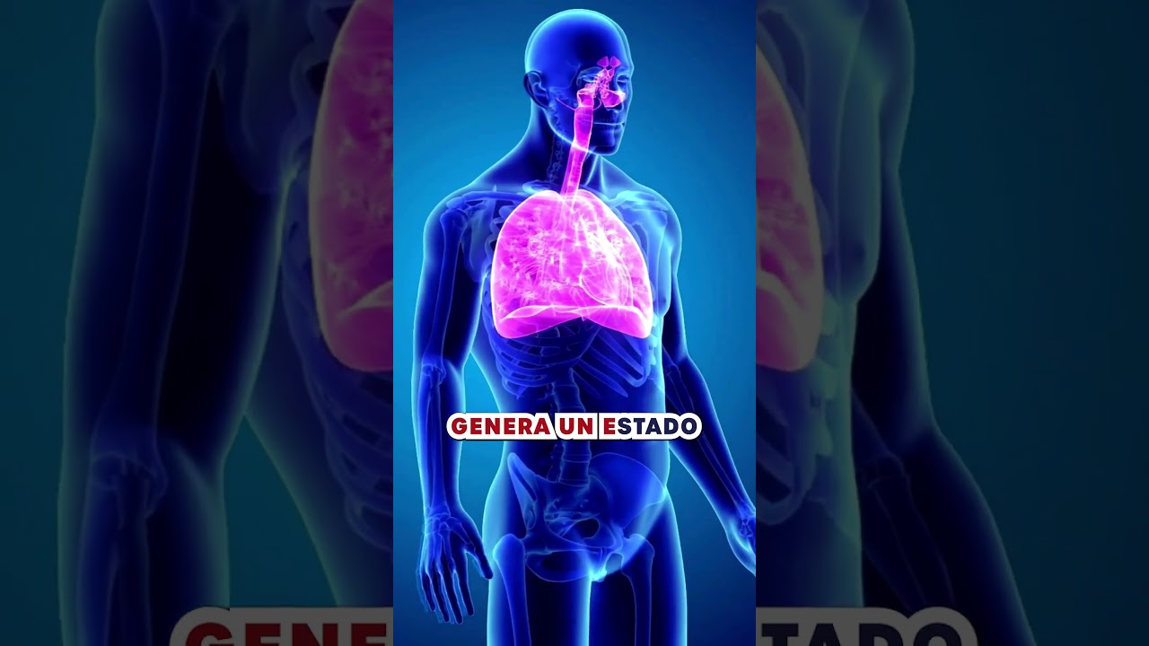 Diana Lorena Lankenau Vela-9