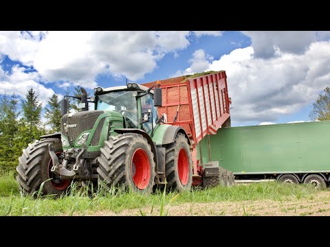 Erster Schnitt 2021!!!! häckseln mit Annaburger Fieldliner HTS 31.06