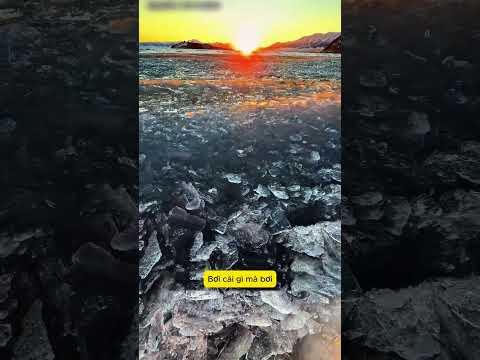 ❌Gặp những vùng nước này đừng vội xuống bơi, hiểu rõ nguy hiểm để tránh rủi ro đáng tiếc!🏊‍♂️