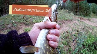 Моя рыбалка ловля щуки на живца
