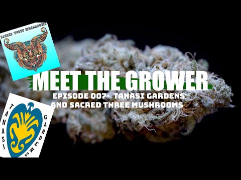 Meet the Grower Ep. 007 - Tanasi Gardens & Sacred Three Mushrooms