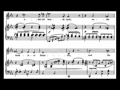 [M] Die Mainacht (J.Brahms) in Eb Op.43 No.2 / Piano accompaniment