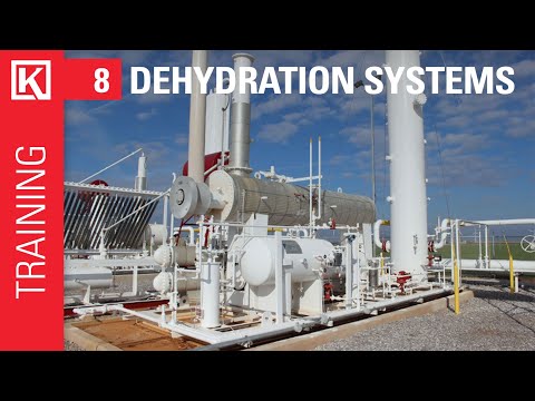 Kimray Electric Glycol Pump Maintenance Repair 