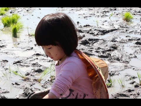 青農返鄉 為行健村帶入新氣象