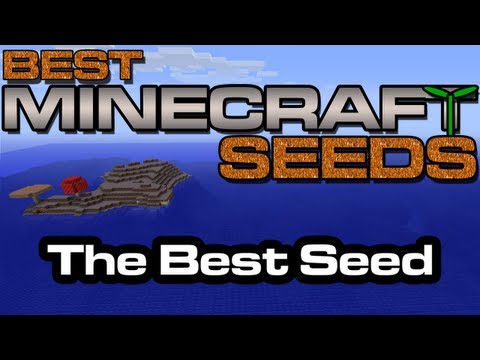 Discover the Ultimate Minecraft Seed!!