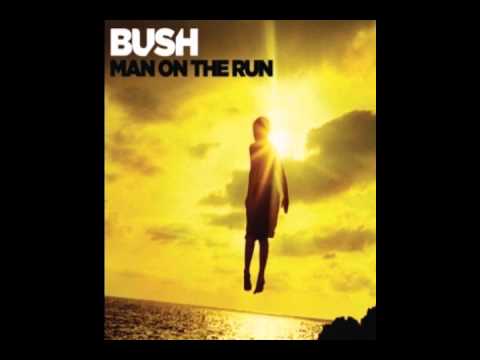 Bush - Broken In Paradise