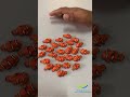 Nemo Fish Ocellaris Clownfish Or False Percula Clownfish Nemofish Shorts Fishtank