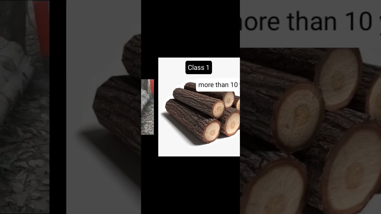 Types of Timber 🪵 with its avarage life ,#buildingmaterials ,#civilengineering ,#trendingshorts ,