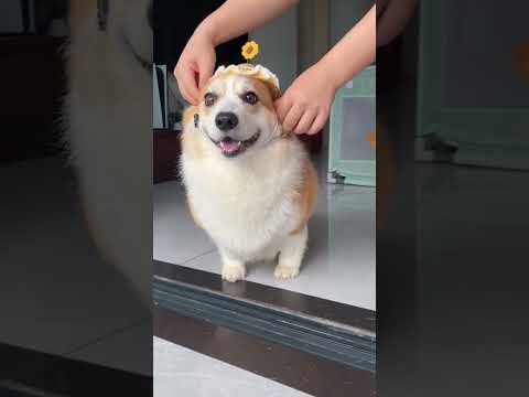 "Let the Rain Keep Falling, But Summer Rituals Must Go On! 🌧️☀️"