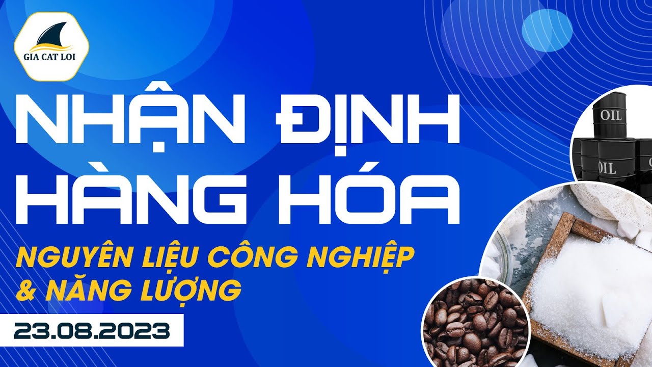 Nhận Định Hàng Hoá Năng Lượng & Nguyên Liệu Công Nghiệp 23/08/2023