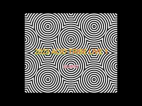 TRIBE HARDTECH - SILENTLY - 2023 ACID TRIBE LIVE 1