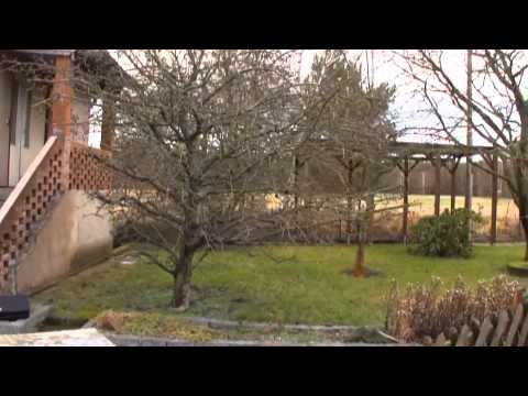 Vering Immobilien: Alles auf einer Etage, in wundervoller Umgebung, nahe Dresden!