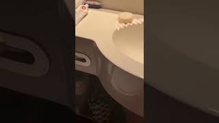 The SMALLEST Cruise Ship Bathroom I’ve Ever Found 😂🤯