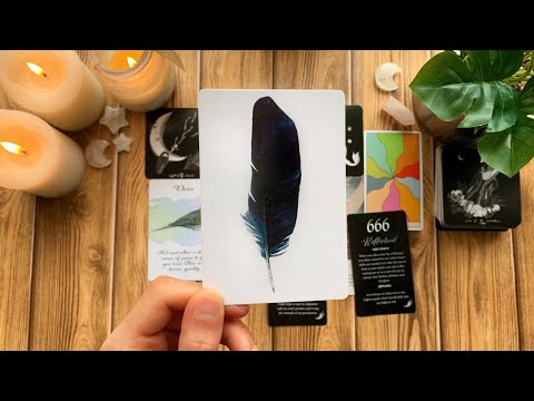 Mystery Message, Watch When It Finds You!🖤