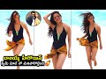 Balakrishna Ruler Movie Actress Vedhika Stunning Looks In SwimSuit Vedhika Latest Bikini Video