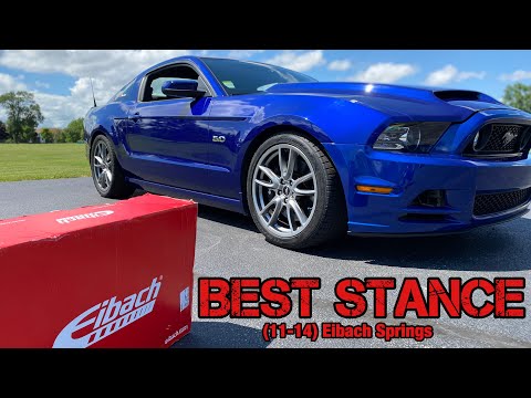 EIBACH Sportline Lowering Springs INSTALLATION In MINUTES!!| 2011-2014 Mustang