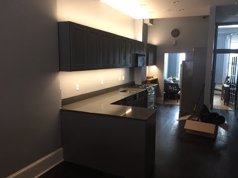 Manhattan Townhouse Parlor Level Kitchen renovation (126th street)