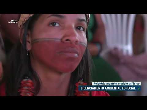 MP do licenciamento ambiental especial é aprovada em comissão mista