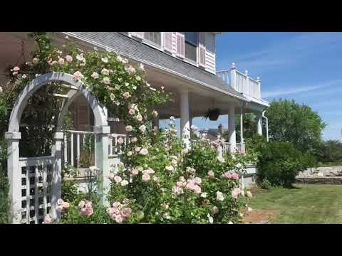 Thinking of living in Old Greenwich, CT?