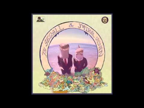 Ty Segall & Mikal Cronin - Reverse Shark Attack (Full Album)