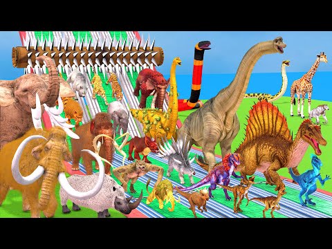 Prehistoric Mammals Mammoth vs Dinosaurs vs Reptiles Be Fast and Run Away from Spike Roller - ARBS