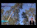 thumbnail text