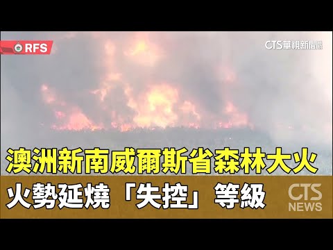 澳洲新南威爾斯省森林大火　火勢延燒「失控」等級